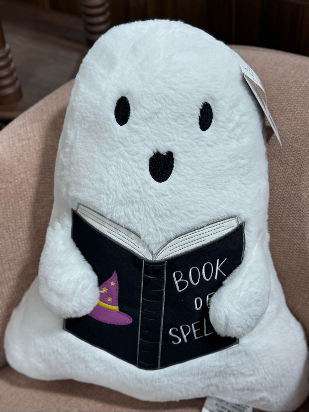 Martha stewart Book and spell ghost pillow